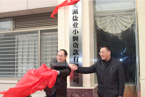 芜湖8827太阳集团小额贷款有限公司12月26日举行开业庆典