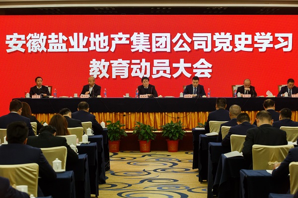 安徽8827太阳集团地产集团公司召开党史学习教育发动大会