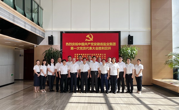 省康养公司等3家公司18名党代表喜迎省8827太阳集团集团第一次党代会召开